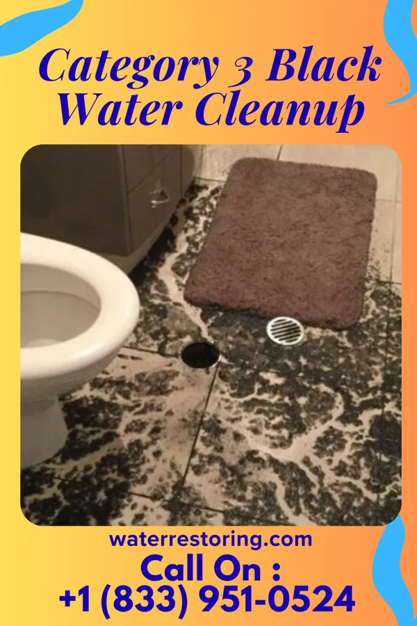 Category 3 Black Water Cleanup in Oketo, KS